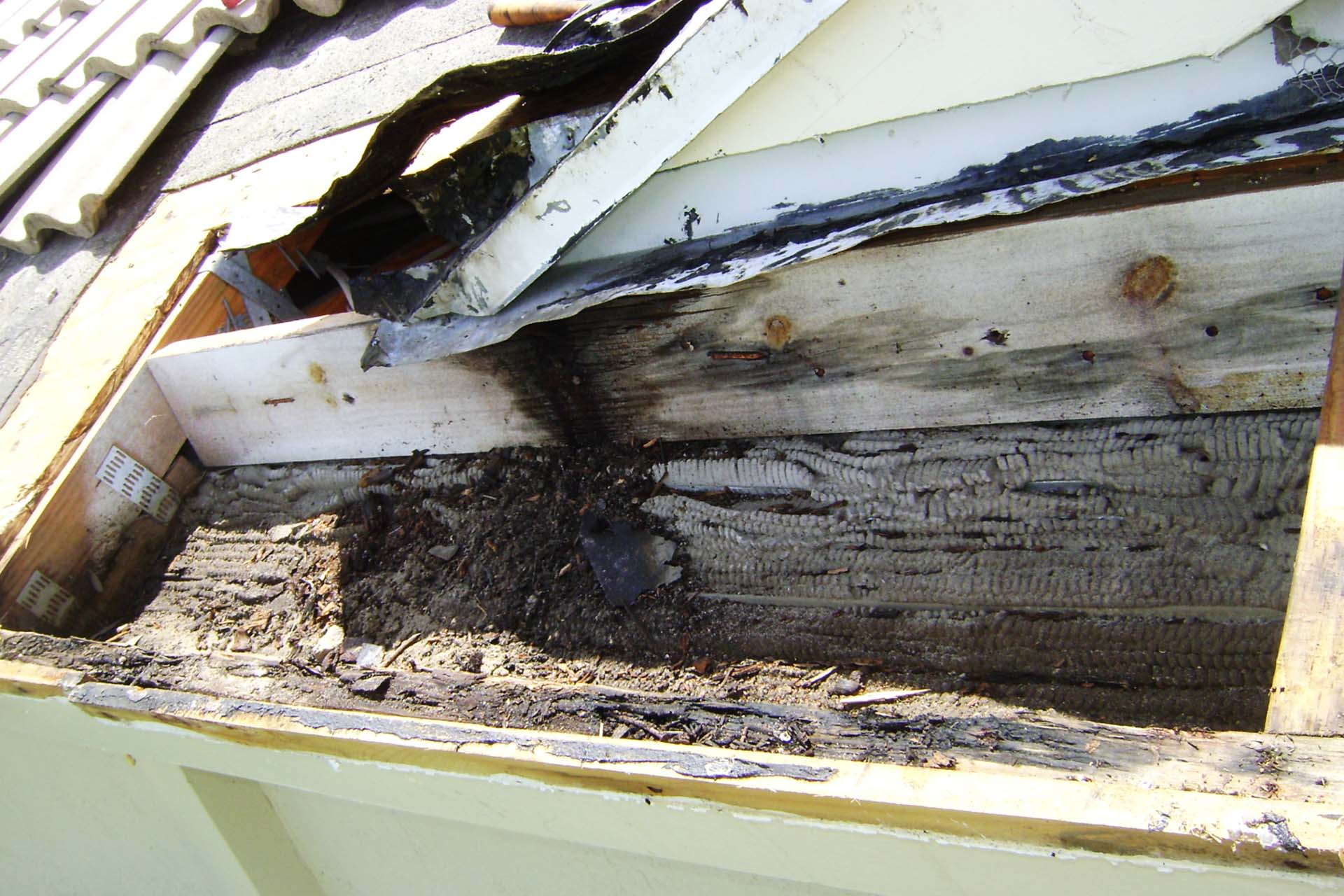 roof leaks repair fort lauderdale