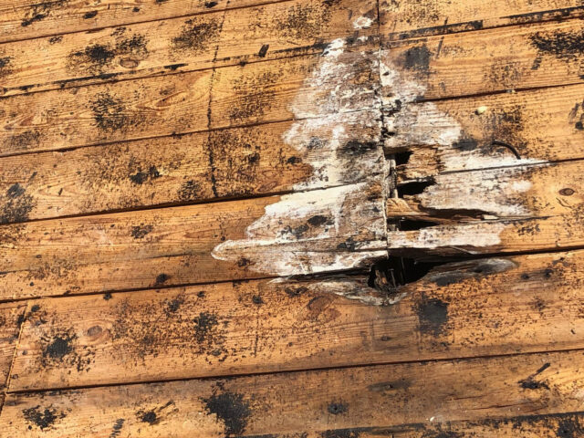 deck roof repairs fort lauderdale florida