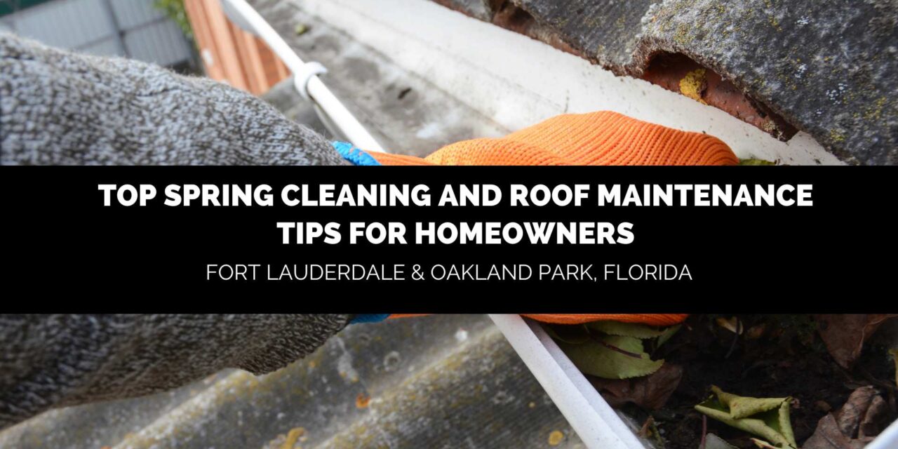 Top Spring Cleaning and Roof Maintenance Tips for Homeowners