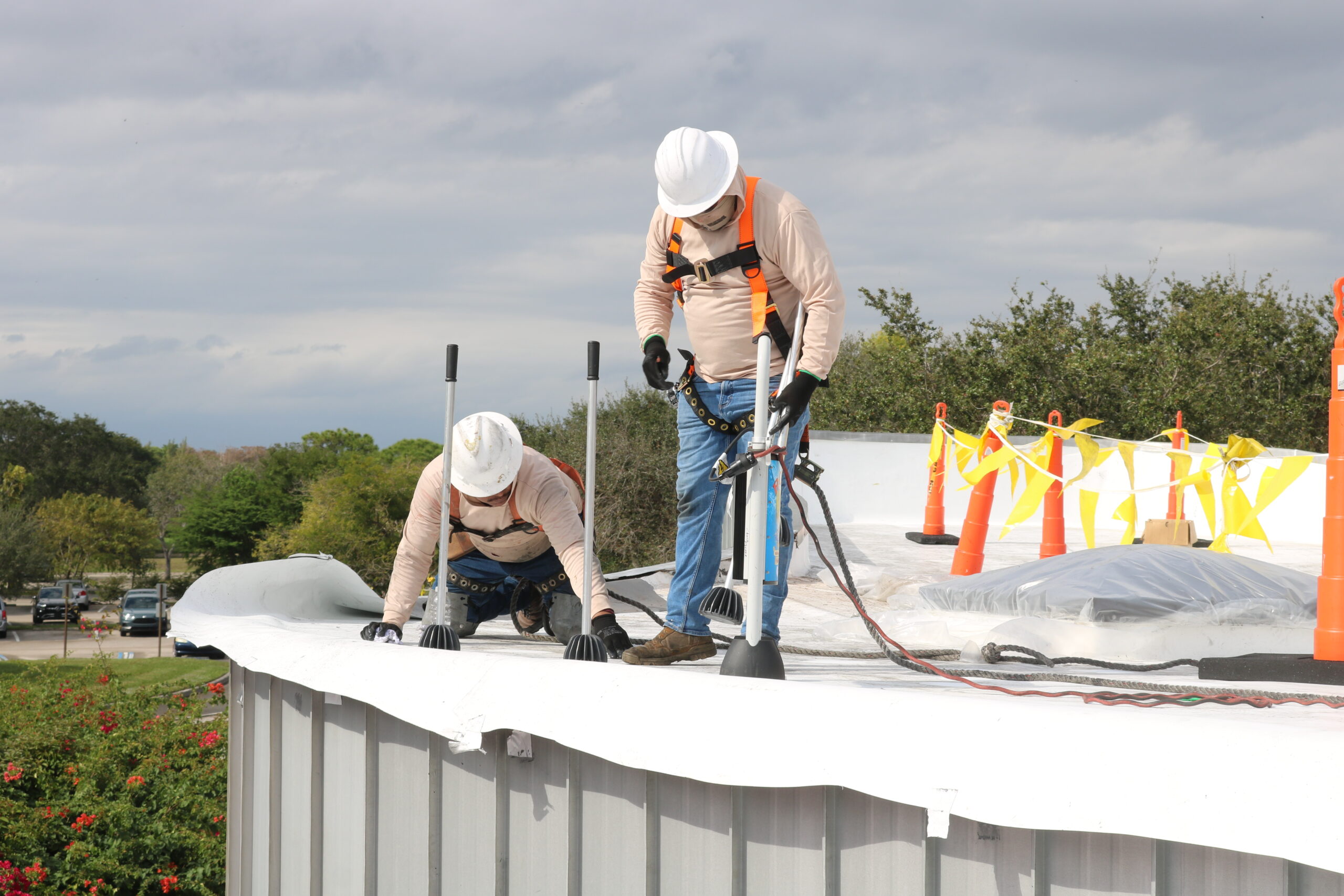 Butterfly World Roof Replacement rhino bond install